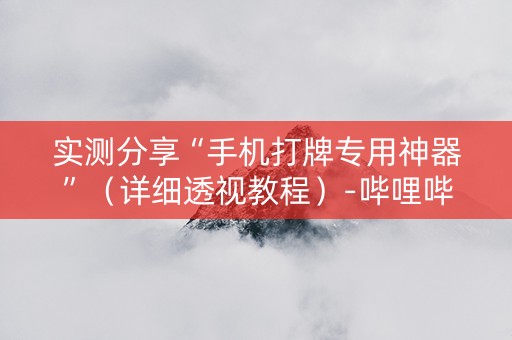 实测分享“手机打牌专用神器”（详细透视教程）-哔哩哔哩