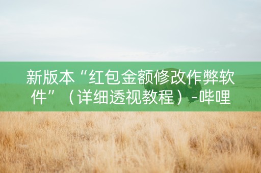 新版本“红包金额修改作弊软件”（详细透视教程）-哔哩哔哩