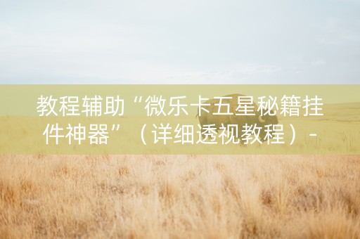 教程辅助“微乐卡五星秘籍挂件神器”（详细透视教程）-哔哩哔哩