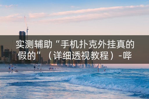 实测辅助“手机扑克外挂真的假的”（详细透视教程）-哔哩哔哩