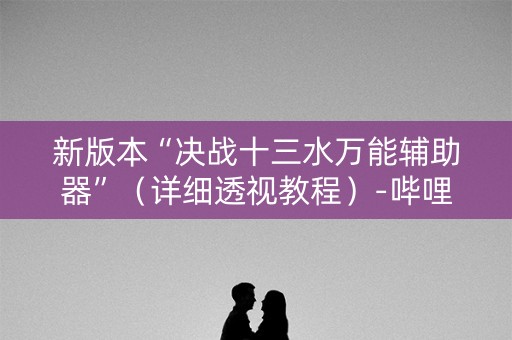 新版本“决战十三水万能辅助器”（详细透视教程）-哔哩哔哩