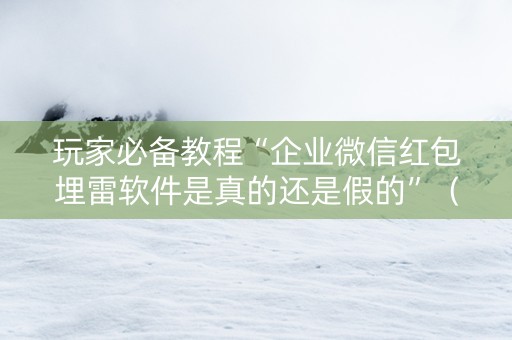 玩家必备教程“企业微信红包埋雷软件是真的还是假的”（详细透视教程）-哔哩哔哩