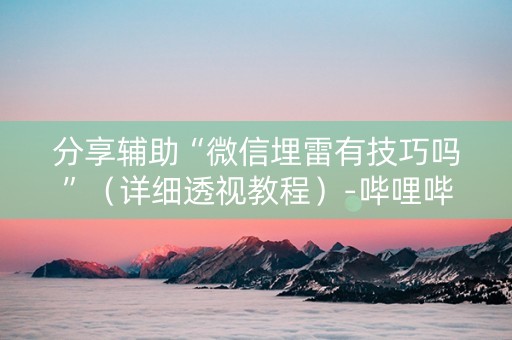 分享辅助“微信埋雷有技巧吗”（详细透视教程）-哔哩哔哩