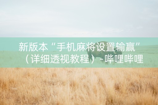 新版本“手机麻将设置输赢”（详细透视教程）-哔哩哔哩