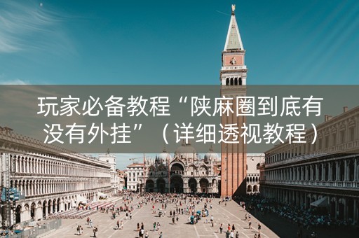 玩家必备教程“陕麻圈到底有没有外挂”（详细透视教程）-哔哩哔哩