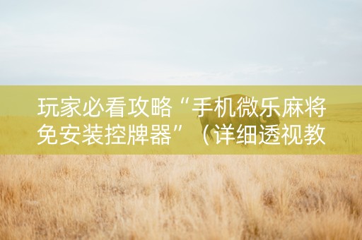 玩家必看攻略“手机微乐麻将免安装控牌器”（详细透视教程）-哔哩哔哩