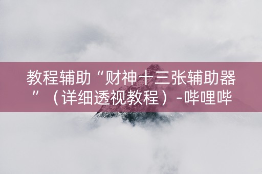 教程辅助“财神十三张辅助器”（详细透视教程）-哔哩哔哩