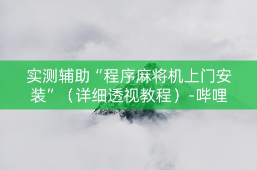 实测辅助“程序麻将机上门安装”（详细透视教程）-哔哩哔哩