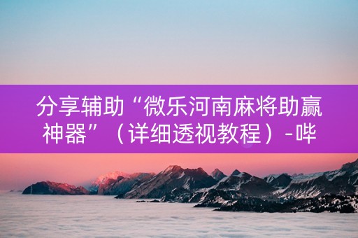 分享辅助“微乐河南麻将助赢神器”（详细透视教程）-哔哩哔哩