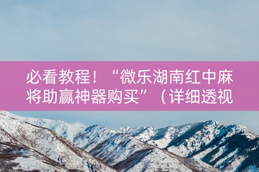 必看教程！“微乐湖南红中麻将助赢神器购买”（详细透视教程）-哔哩哔哩