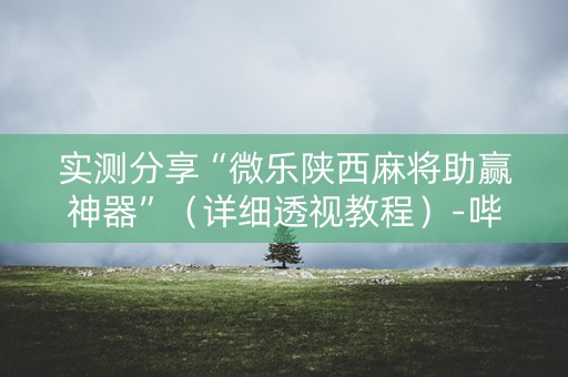 实测分享“微乐陕西麻将助赢神器”（详细透视教程）-哔哩哔哩
