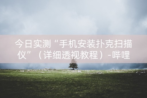 今日实测“手机安装扑克扫描仪”（详细透视教程）-哔哩哔哩