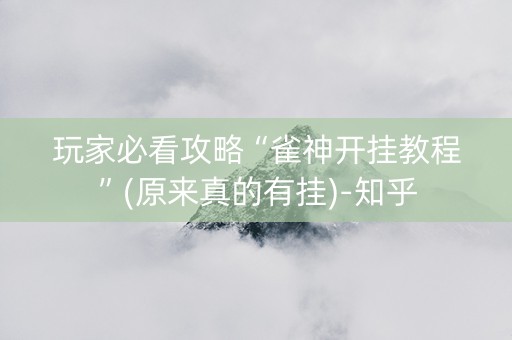 玩家必看攻略“雀神开挂教程”(原来真的有挂)-知乎
