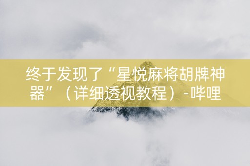 终于发现了“星悦麻将胡牌神器”（详细透视教程）-哔哩哔哩