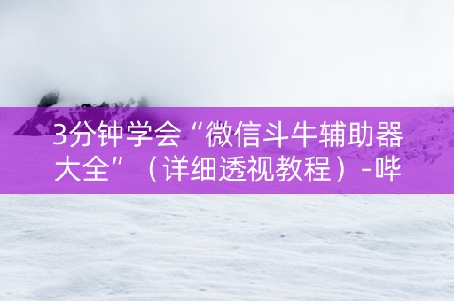 3分钟学会“微信斗牛辅助器大全”（详细透视教程）-哔哩哔哩