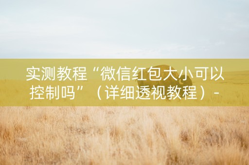 实测教程“微信红包大小可以控制吗”（详细透视教程）-哔哩哔哩
