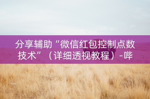 分享辅助“微信红包控制点数技术”（详细透视教程）-哔哩哔哩