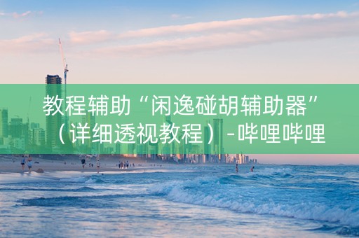教程辅助“闲逸碰胡辅助器”（详细透视教程）-哔哩哔哩