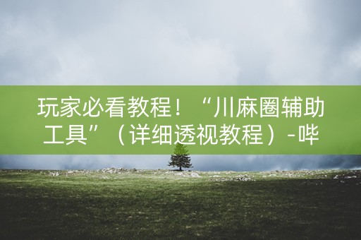 玩家必看教程！“川麻圈辅助工具”（详细透视教程）-哔哩哔哩