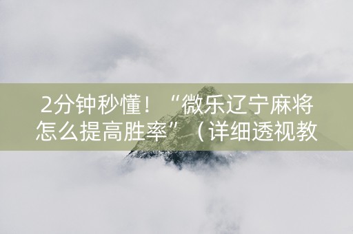 2分钟秒懂！“微乐辽宁麻将怎么提高胜率”（详细透视教程）-哔哩哔哩