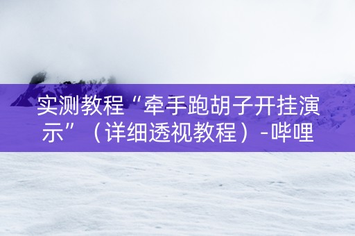 实测教程“牵手跑胡子开挂演示”（详细透视教程）-哔哩哔哩