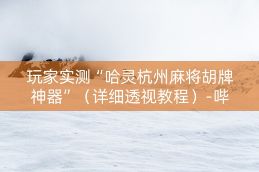 玩家实测“哈灵杭州麻将胡牌神器”（详细透视教程）-哔哩哔哩