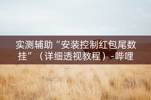 实测辅助“安装控制红包尾数挂”（详细透视教程）-哔哩哔哩