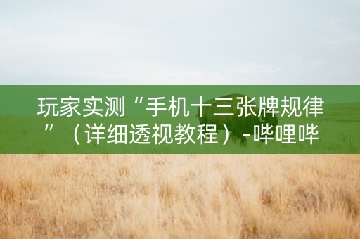 玩家实测“手机十三张牌规律”（详细透视教程）-哔哩哔哩