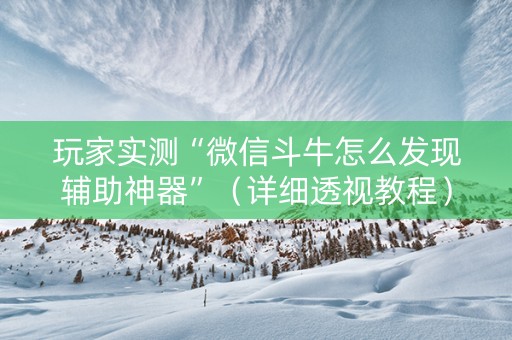 玩家实测“微信斗牛怎么发现辅助神器”（详细透视教程）-哔哩哔哩