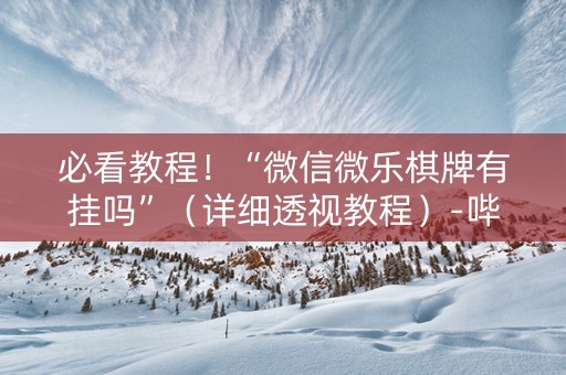 必看教程！“微信微乐棋牌有挂吗”（详细透视教程）-哔哩哔哩