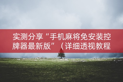 实测分享“手机麻将免安装控牌器最新版”（详细透视教程）-哔哩哔哩