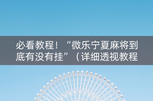 必看教程！“微乐宁夏麻将到底有没有挂”（详细透视教程）-哔哩哔哩