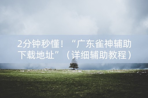 2分钟秒懂！“广东雀神辅助下载地址”（详细辅助教程）-哔哩哔哩