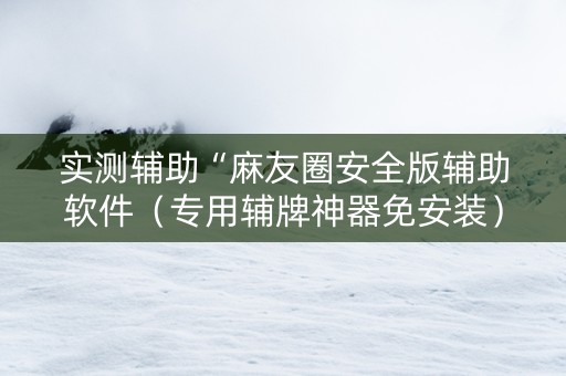 实测辅助“麻友圈安全版辅助软件（专用辅牌神器免安装）