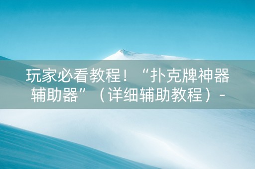 玩家必看教程！“扑克牌神器辅助器”（详细辅助教程）-哔哩哔哩
