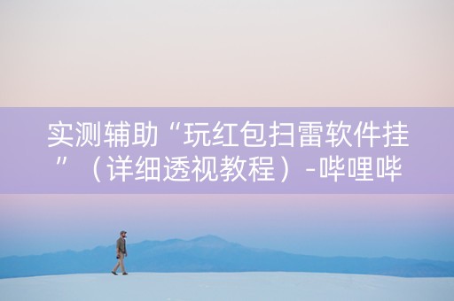 实测辅助“玩红包扫雷软件挂”（详细透视教程）-哔哩哔哩