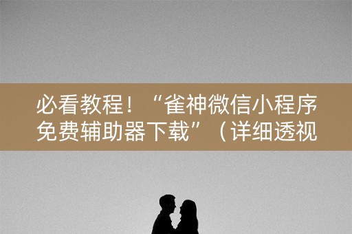 必看教程！“雀神微信小程序免费辅助器下载”（详细透视教程）-哔哩哔哩