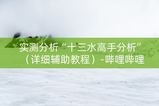 实测分析“十三水高手分析”（详细辅助教程）-哔哩哔哩