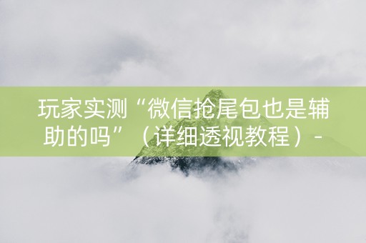 玩家实测“微信抢尾包也是辅助的吗”（详细透视教程）-哔哩哔哩