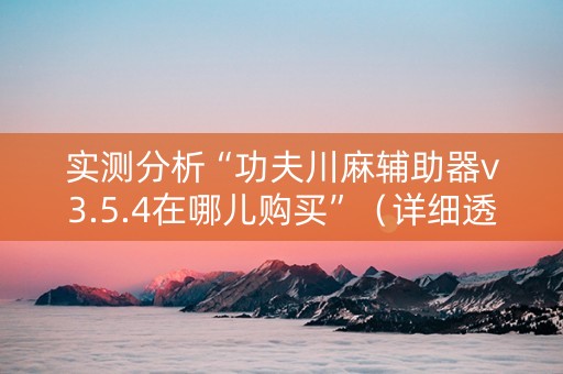 实测分析“功夫川麻辅助器v3.5.4在哪儿购买”（详细透视教程）-哔哩哔哩
