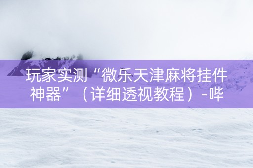 玩家实测“微乐天津麻将挂件神器”（详细透视教程）-哔哩哔哩