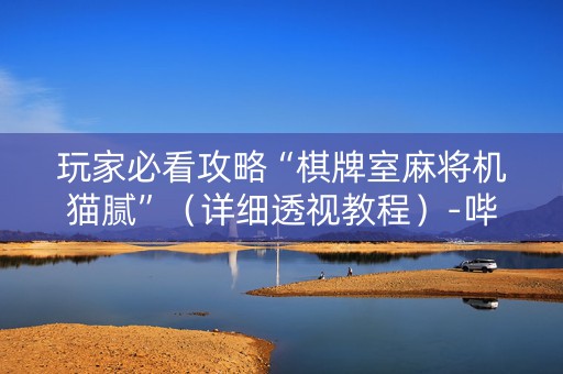 玩家必看攻略“棋牌室麻将机猫腻”（详细透视教程）-哔哩哔哩