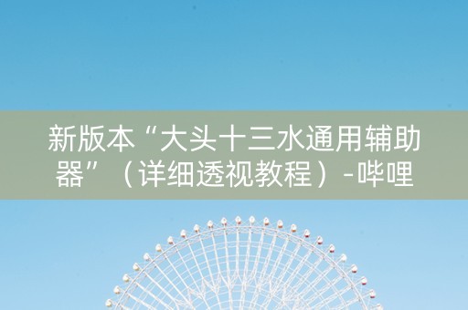 新版本“大头十三水通用辅助器”（详细透视教程）-哔哩哔哩