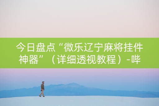 今日盘点“微乐辽宁麻将挂件神器”（详细透视教程）-哔哩哔哩