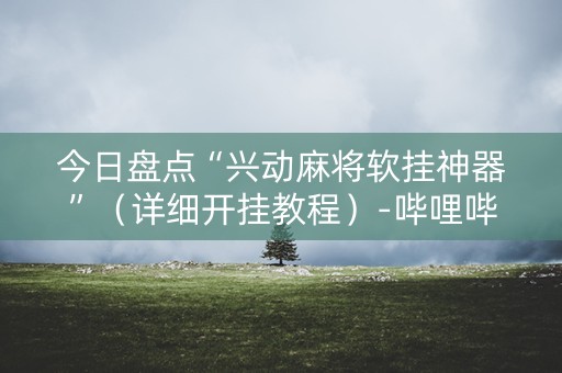 今日盘点“兴动麻将软挂神器”（详细开挂教程）-哔哩哔哩