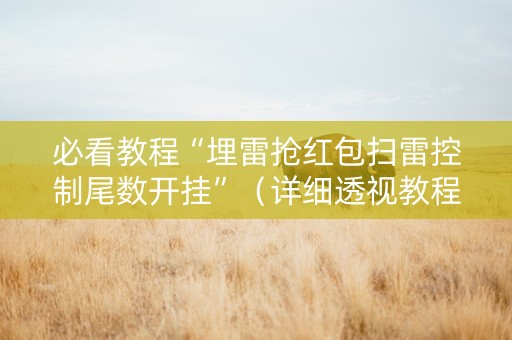 必看教程“埋雷抢红包扫雷控制尾数开挂”（详细透视教程）-哔哩哔哩