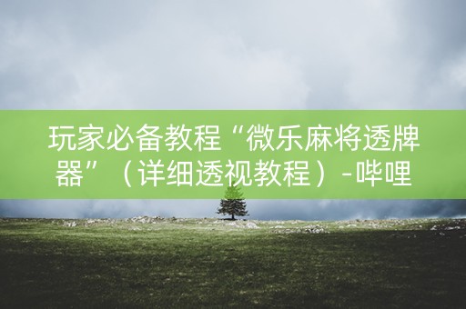 玩家必备教程“微乐麻将透牌器”（详细透视教程）-哔哩哔哩