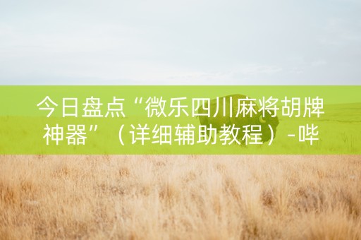 今日盘点“微乐四川麻将胡牌神器”（详细辅助教程）-哔哩哔哩