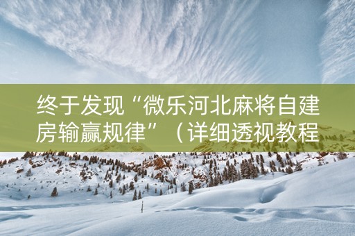 终于发现“微乐河北麻将自建房输赢规律”（详细透视教程）-哔哩哔哩