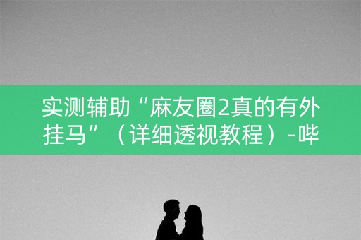 实测辅助“麻友圈2真的有外挂马”（详细透视教程）-哔哩哔哩